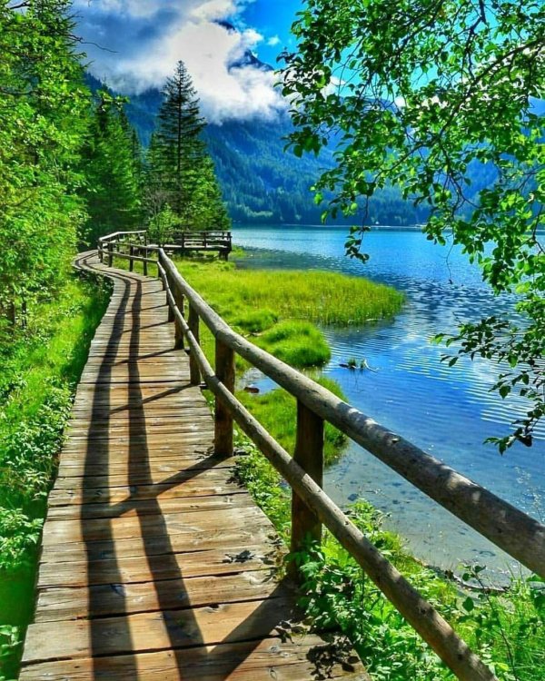 озеро с мостом