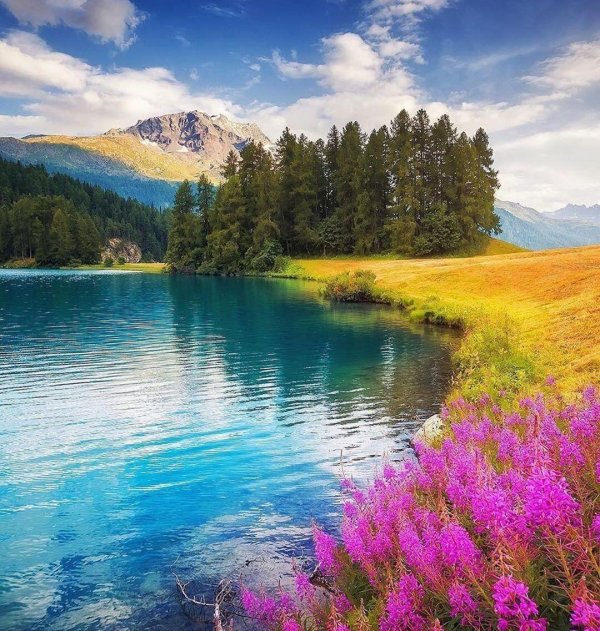 природа яркая