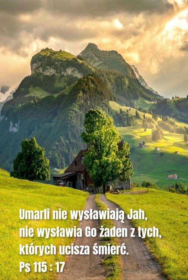 аппенцелль швейцария