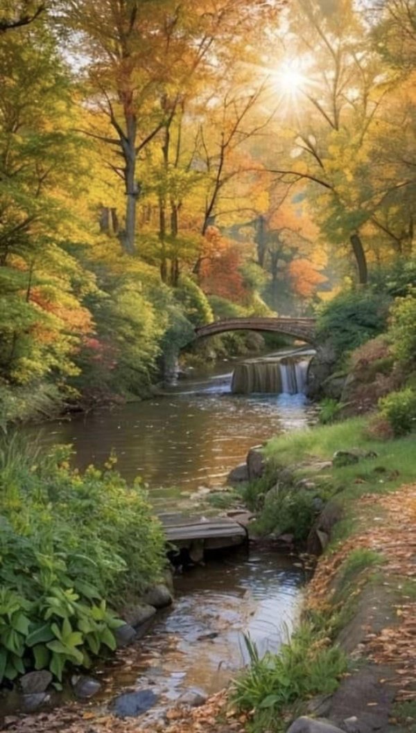 мост в централ парке нью йорка