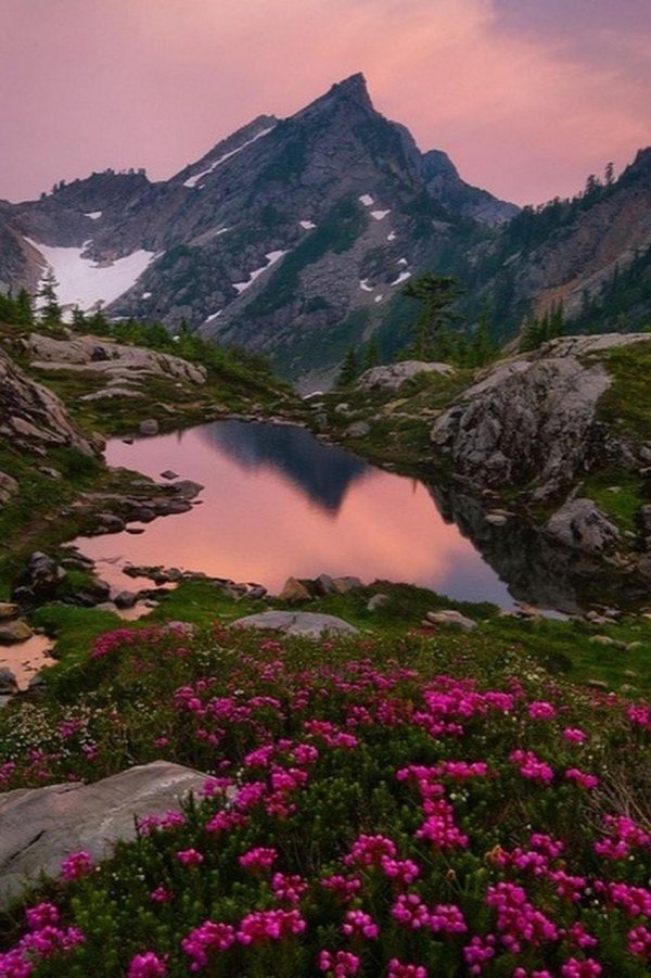 пейзаж горный