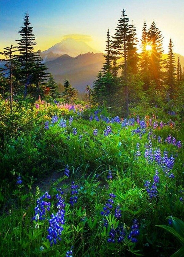 живописный пейзаж