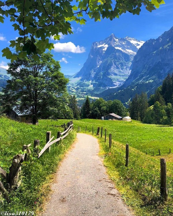 табиат манзараси