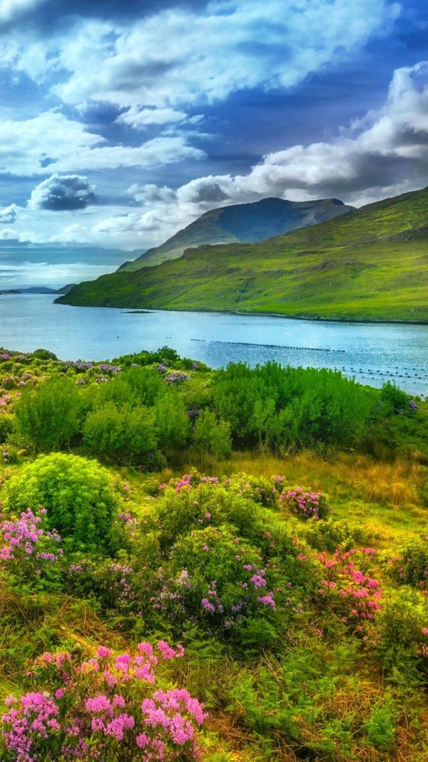 северная ирландия природа