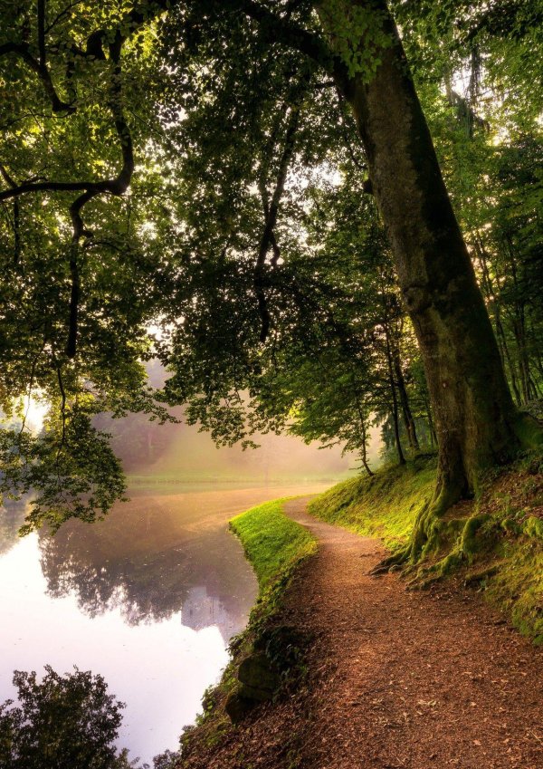 красивый пейзаж лето