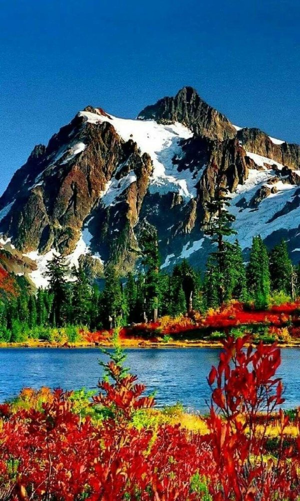 сложный пейзаж