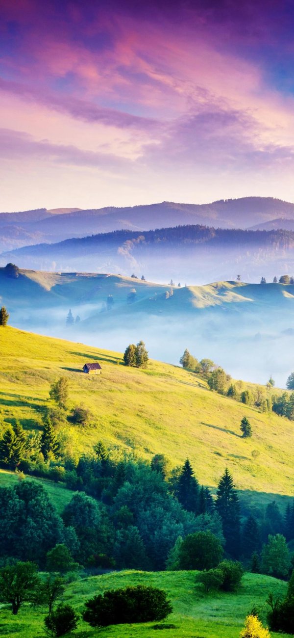 гора златибор карпаты