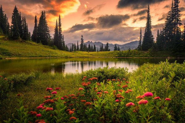 красота природа