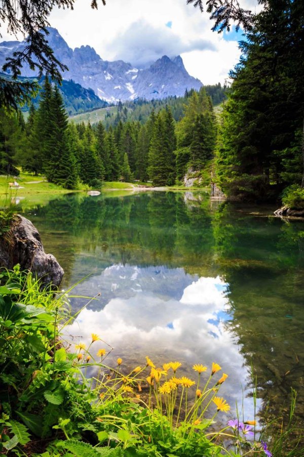 parco naturale paneveggio