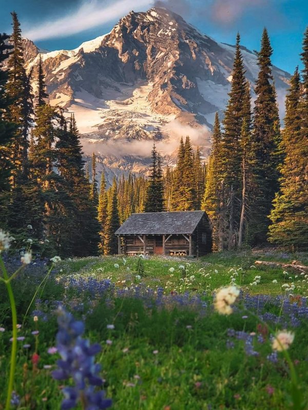 mt rainier national park