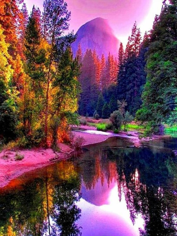 удивительная природа