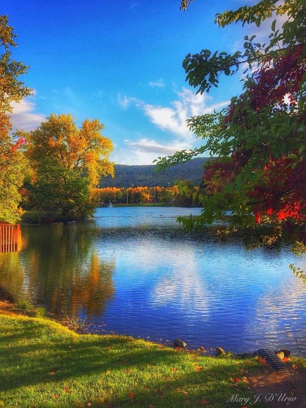 природа осени