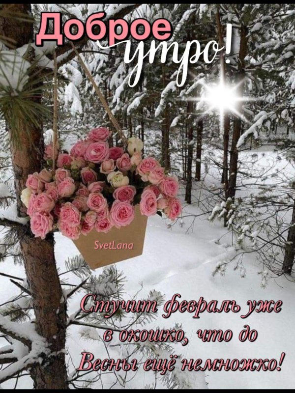 доброго зимнего утра февраля