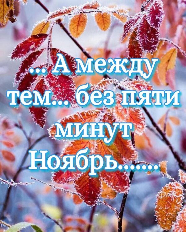 заноябрило ноябрем