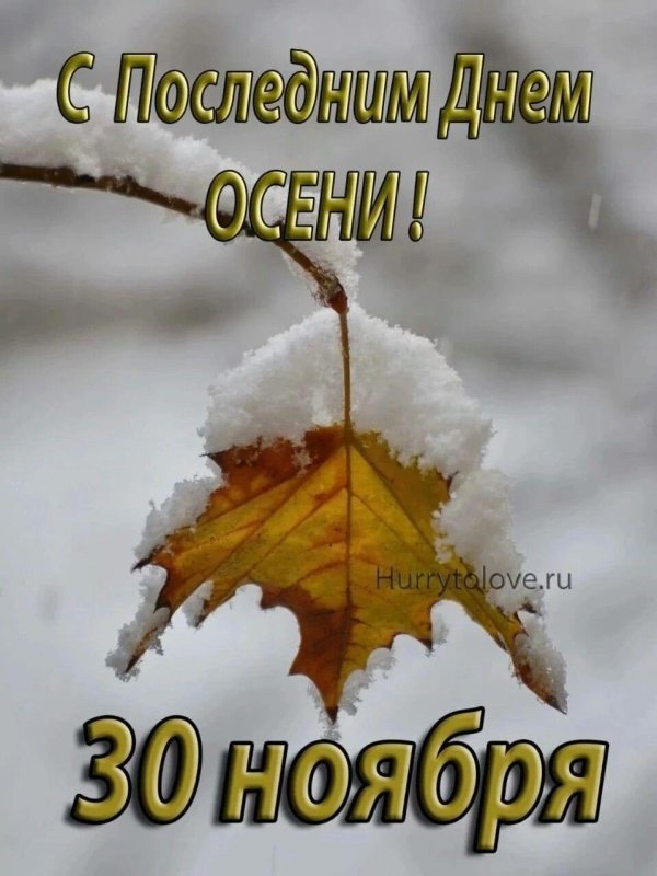 30 ноября последний день осени