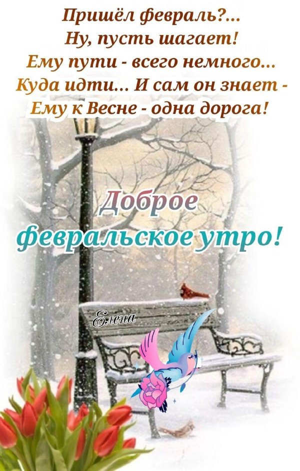 с добрым февральский утром