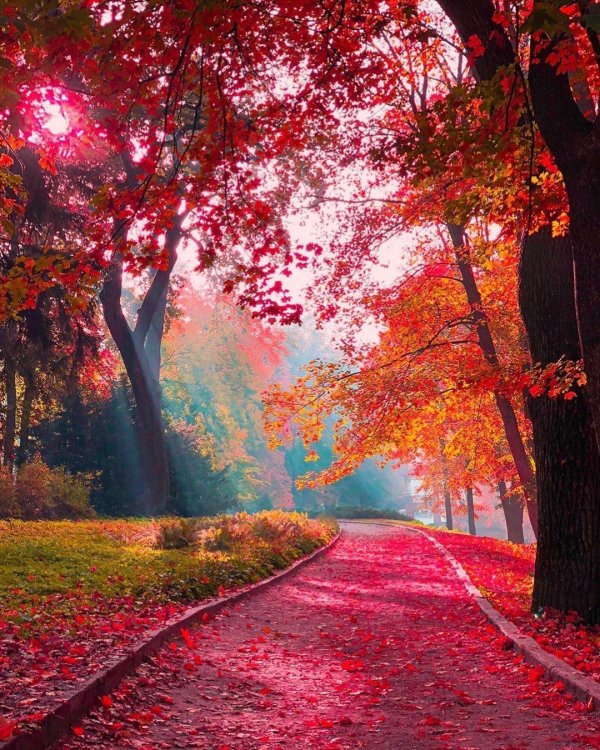 пейзажи осенние