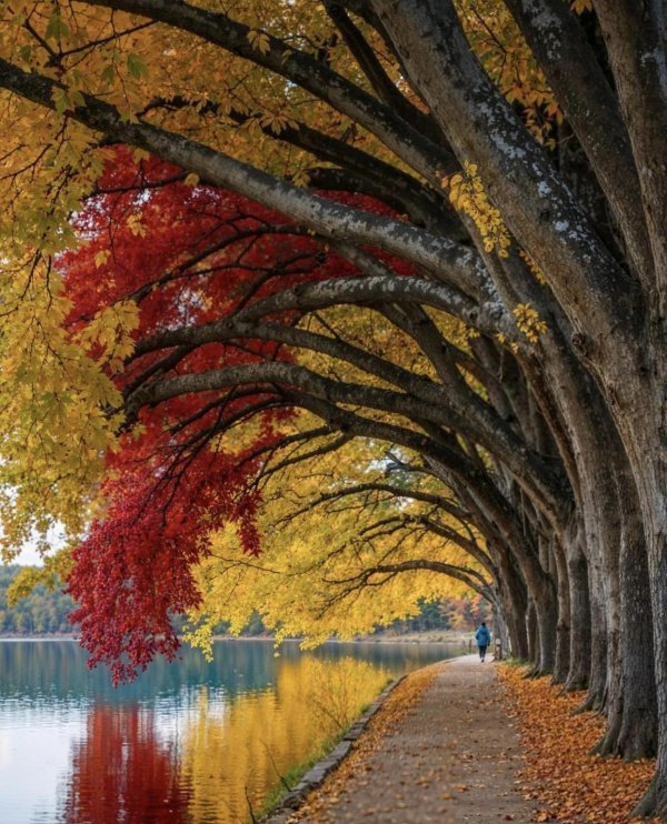 осенняя природа