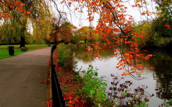 осени пейзаж