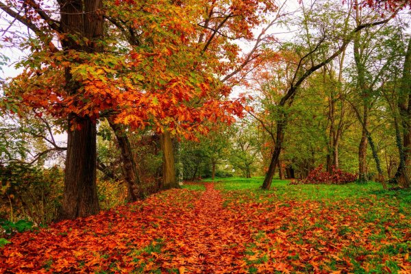 осенняя природа