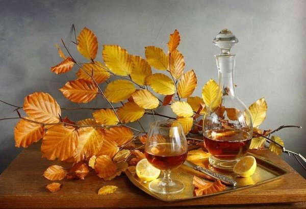 натюрморт с листьями