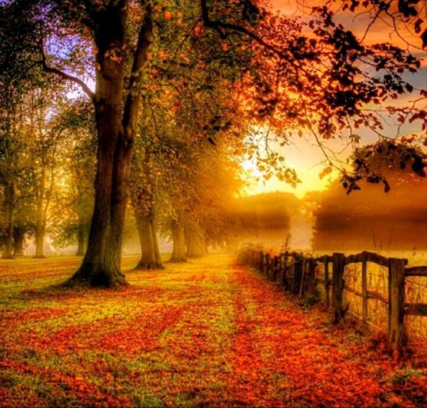 осенние пейзажи