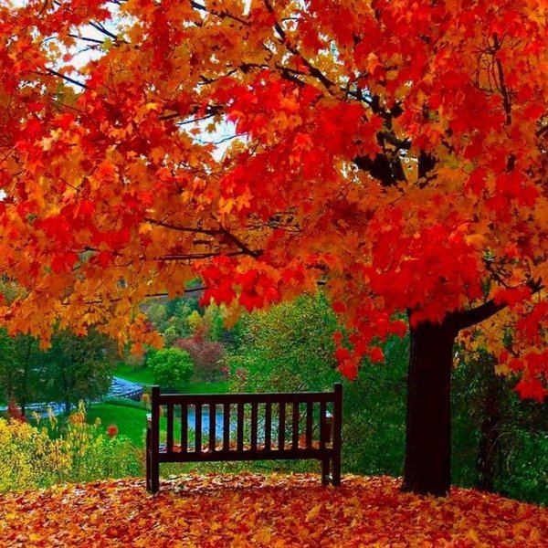 осенние пейзажи