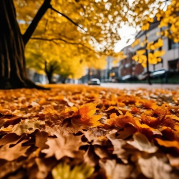 красивые осенние фотографии