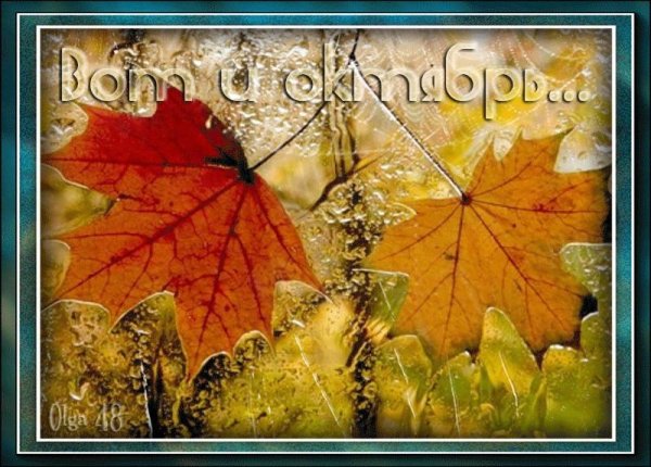 осенний дождь