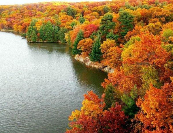 природа осенняя