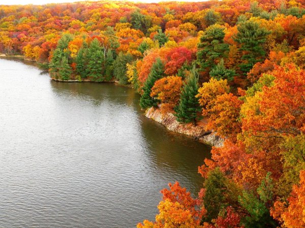 природа осенняя