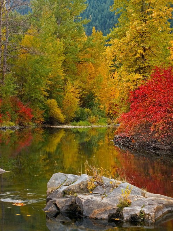 осенняя природа