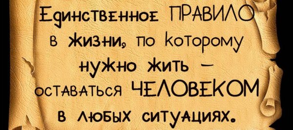 мудрое высказывание