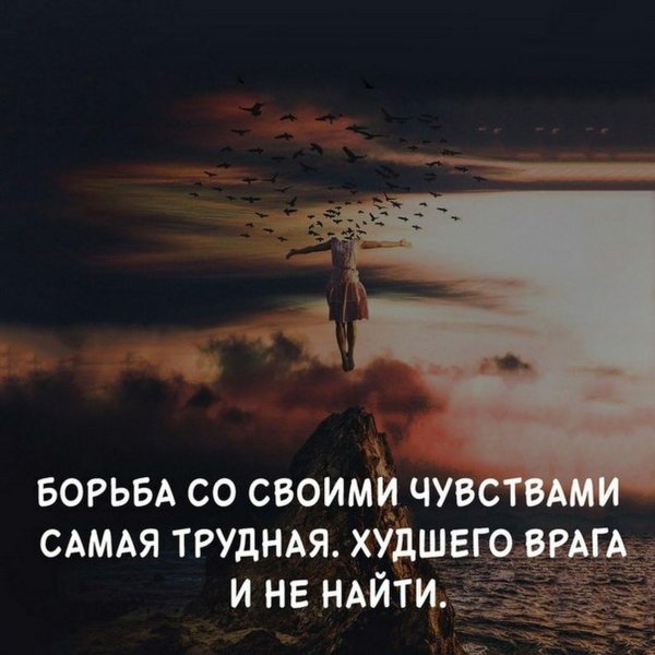 свои чувства