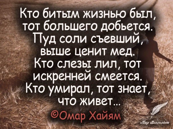 пуд соли съевший выше ценит мед