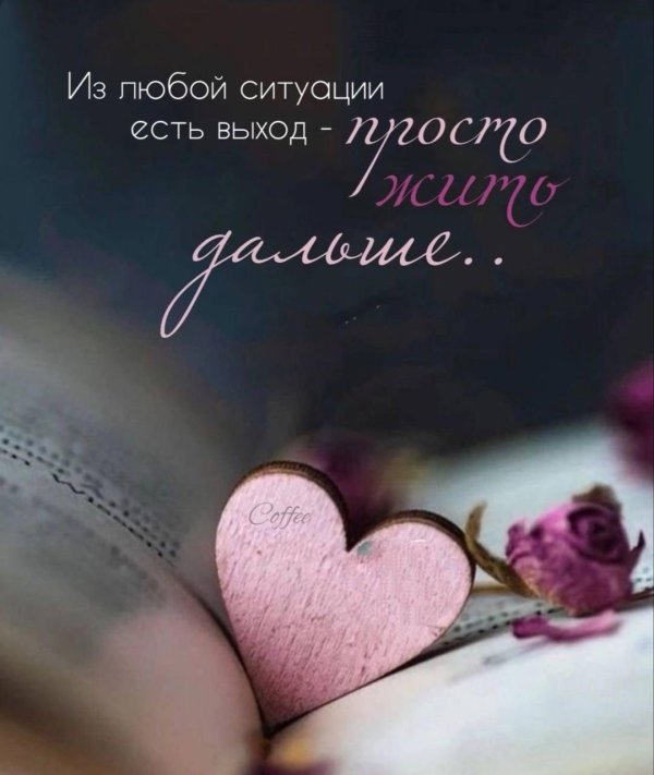 красивая фраза