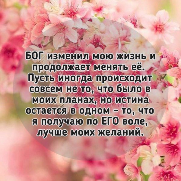 мое желание