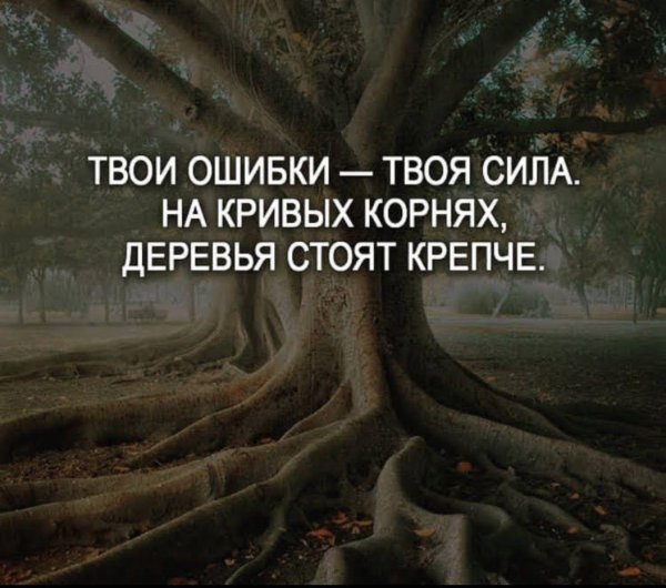 твои ошибки твоя сила на кривых корнях деревья