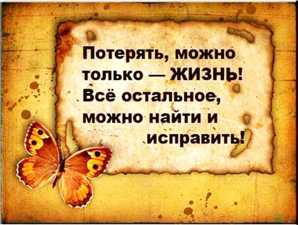 интересные высказывания