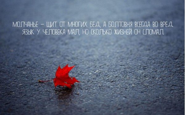 красивые фразы