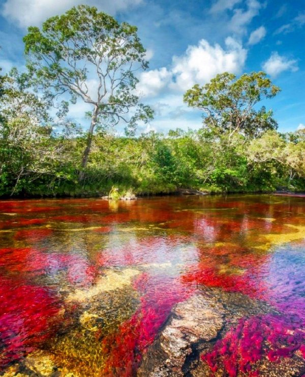 река каньо кристалес