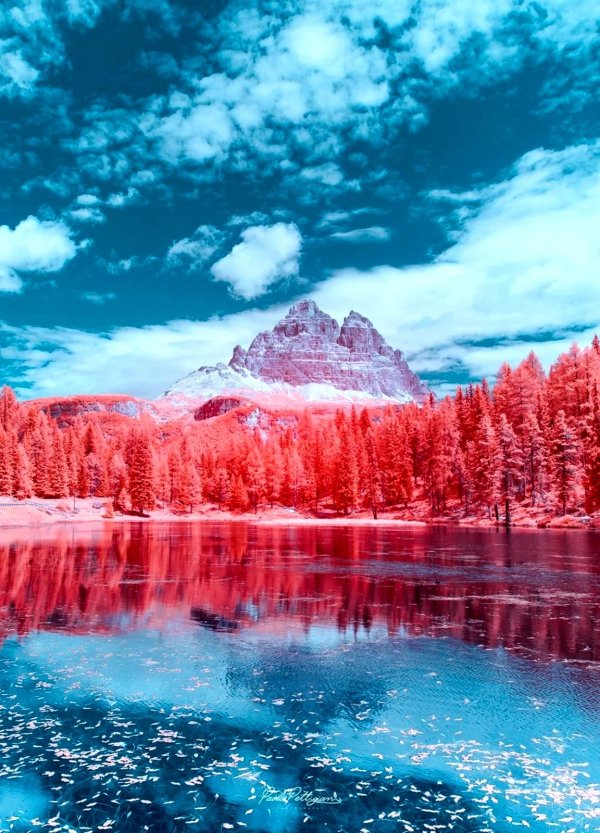 инфракрасная фотография