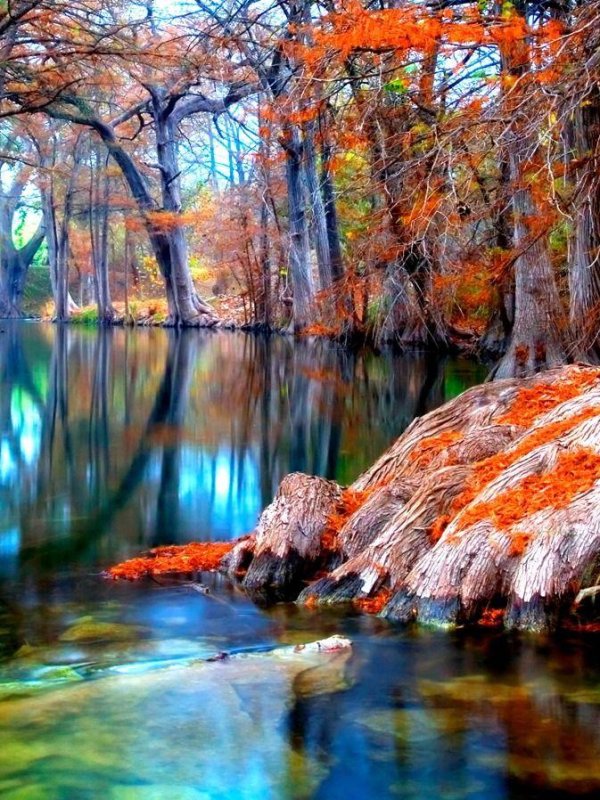 природа осенняя