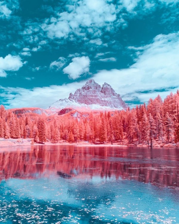 картины пейзаж