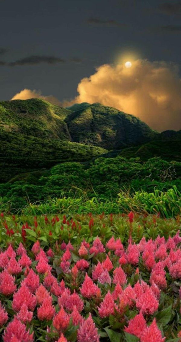 красивейшие пейзажи