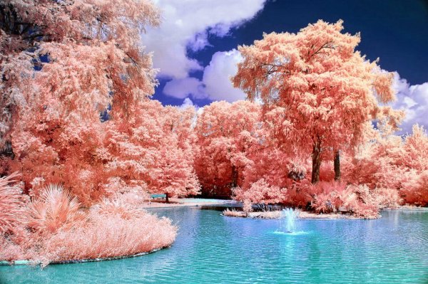 инфракрасная фотография