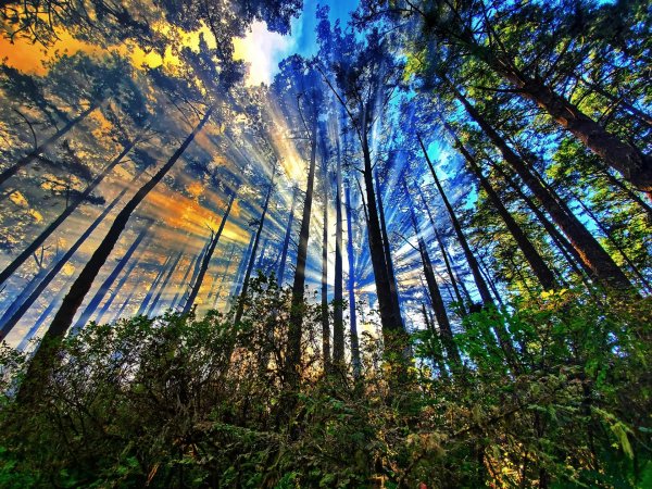 красивые картинки природы