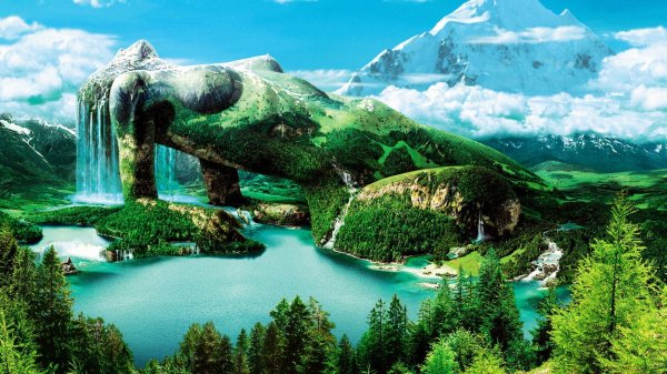 удивительный мир природы