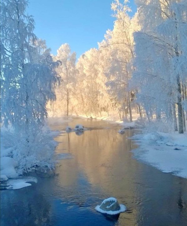 красивые пейзажи зимы