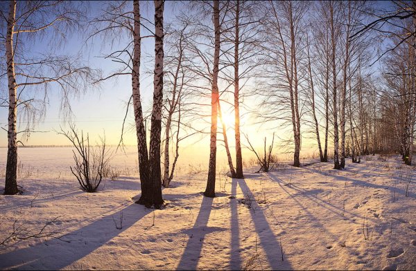 февральский пейзаж